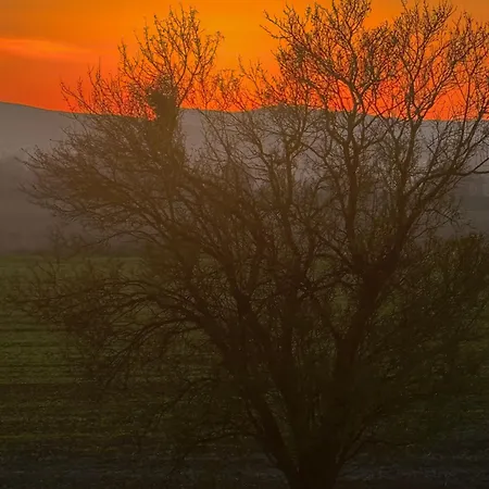 Apartament Sunny Day 5