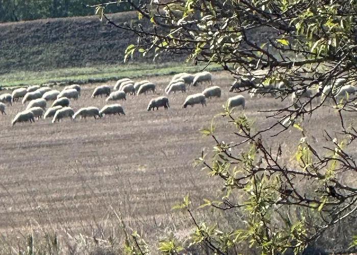 Apartament Sunny Day 5 Tŭnkovo