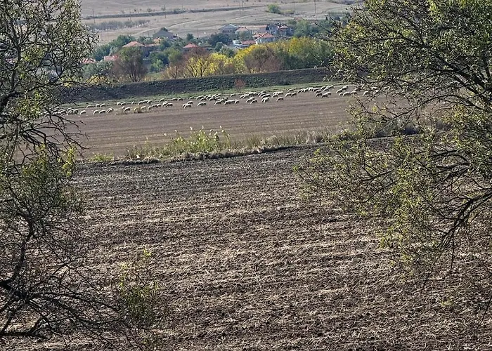 Sunny Day 5 * Tŭnkovo