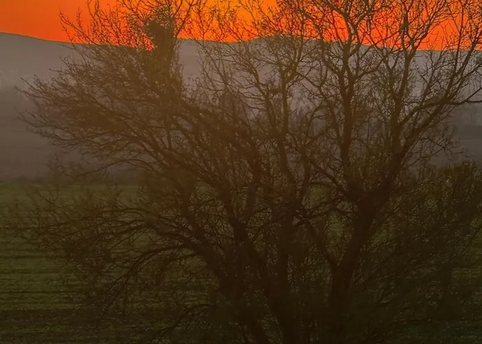 Apartament Sunny Day 5